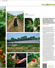 Waitrose leaflet week 26 Page 33