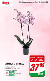 Dino gazetka tydzień 26 Strona 3