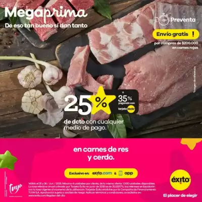 Catálogo Éxito (válido hasta 26-06)