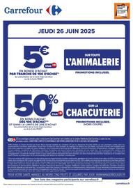 Catalogue Carrefour page 1