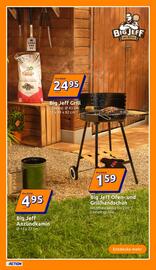 Action Prospekt woche 26 Seite 13
