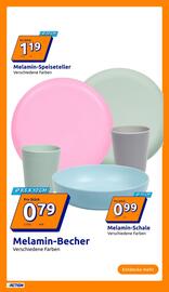 Action Flugblatt woche 26 Seite 9