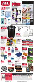 Ace Hardware Weekly Ad Page 4