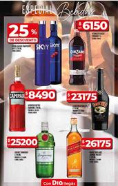 Catálogo Supermercados DIA semana 26 Página 53