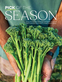 Woolworths catalogue Page 73