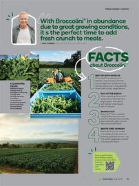 Woolworths catalogue Page 75
