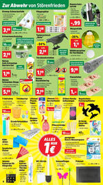 Thomas Philipps Flugblatt woche 27 Seite 8