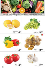 Catalog Selgros Pagină 6