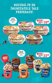 Catalog Selgros Pagină 13