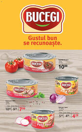 Catalog Selgros Pagină 17