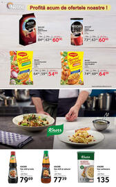 Catalog Selgros Pagină 19