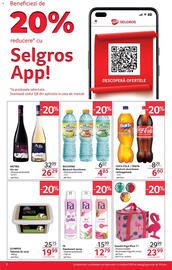 Catalog Selgros Pagină 2