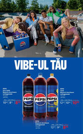 Catalog Selgros Pagină 26