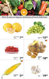 Catalog Selgros Pagină 6
