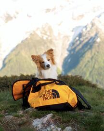 The North Face leták Strana 1