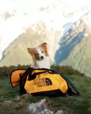 The North Face leták (platné do 8-07)