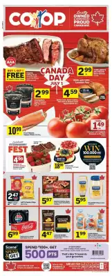 Foodland flyer (valid until 2-07)