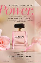 Mary Kay flyer Page 6