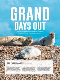 Waitrose leaflet Page 74