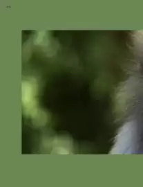 Catalogue Kuoni page 124