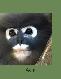 Catalogue Kuoni page 125