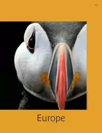 Catalogue Kuoni page 167