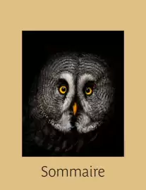 Catalogue Kuoni page 2