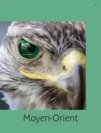 Catalogue Kuoni page 39