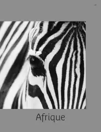 Catalogue Kuoni page 55