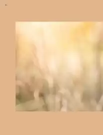 Catalogue Kuoni page 78