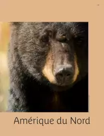 Catalogue Kuoni page 79