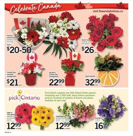 Fortinos flyer week 26 Page 13