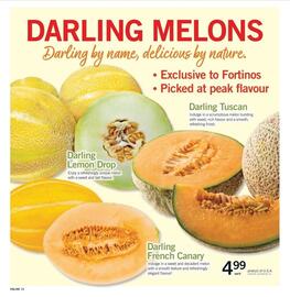 Fortinos flyer week 26 Page 15