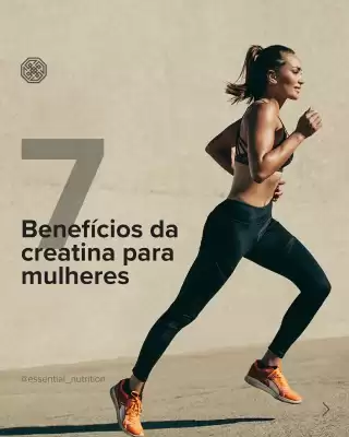 Catálogo Mambo