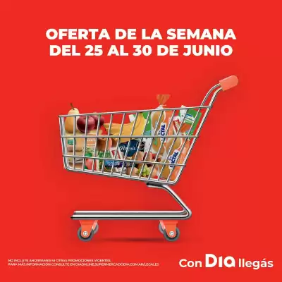 Catálogo Supermercados DIA (válido hasta 30-06)