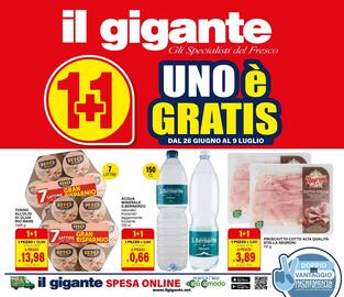 Volantino Il Gigante Pagina 1