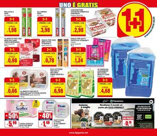 Volantino Il Gigante Pagina 11
