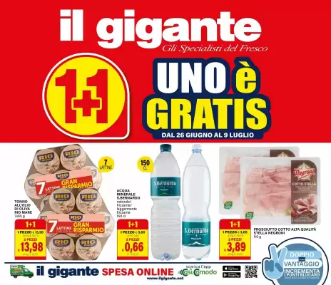Volantino Il Gigante