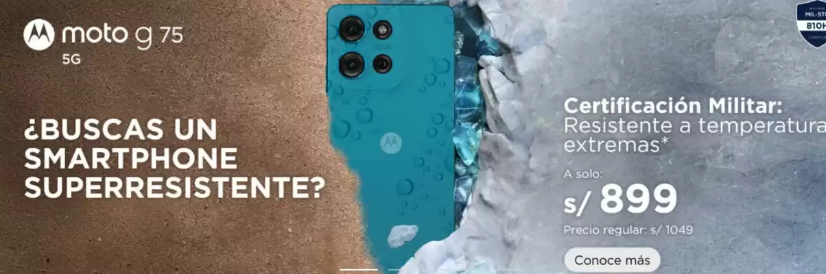 Catálogo Motorola (válido hasta 30-06)