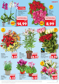 Kaufland gazetka tydzień 26 Strona 13