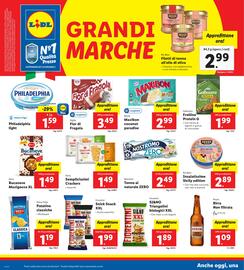 Volantino Lidl settimana 27 Pagina 14