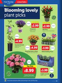 Lidl leaflet week 27 Page 22