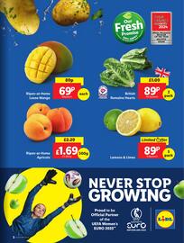 Lidl leaflet week 27 Page 3