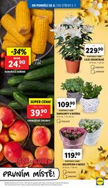 Lidl leták Strana 9