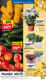 Lidl leták Strana 9
