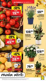 Lidl leták Strana 11