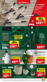 Lidl leták Strana 31