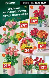 Biedronka gazetka tydzień 26 Strona 17