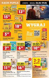 Biedronka gazetka tydzień 26 Strona 47