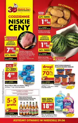 Biedronka gazetka